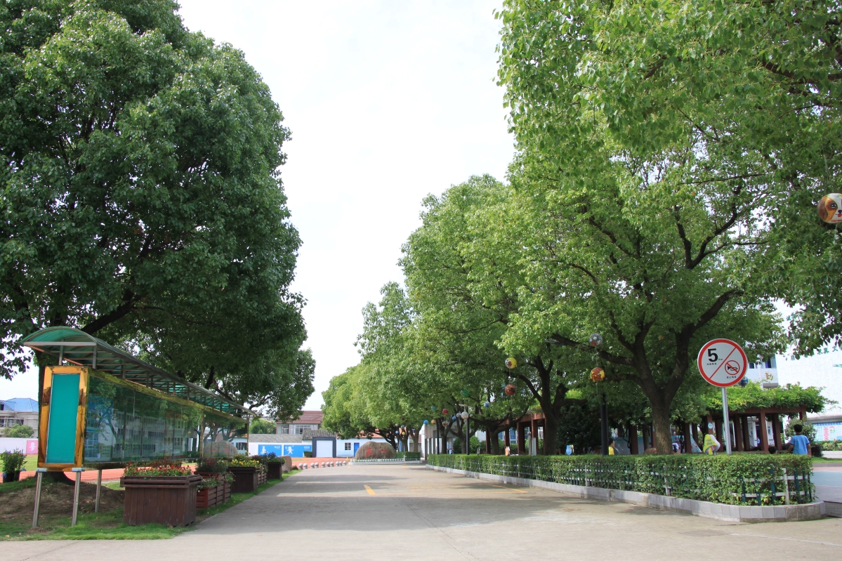 朗霞小學照片2.JPG